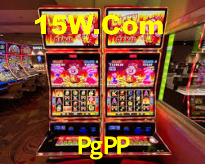 Premium Interface PgPP